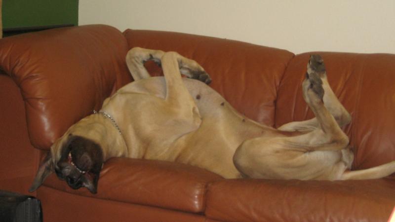 Relax Kate at Dad's Work