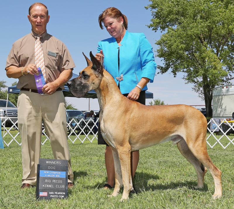Prince Finishing Photo